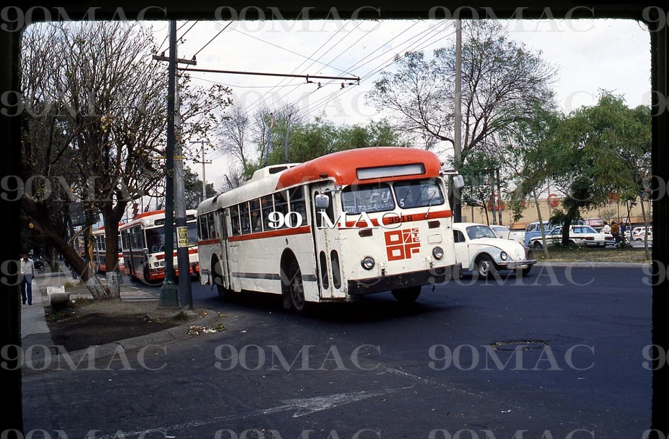 STE. Trolebús ACF BRILL #3918. CIUDAD DE MÉXICO (MX). Diapositivas originales 1982. LATL! Foto 1 de 1