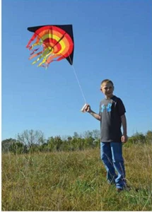 56 inch Steam  Delta Premier Kites - Picture 1 of 6