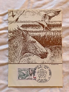 Cartes Postales * Conservatoire du Littoral Premier Jour * Rochefort 1981 - Picture 1 of 2