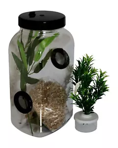Stick Insect,Leaf Insect Twin Vent Enclosure With Mini Twig Pot & Substrate - Picture 1 of 1