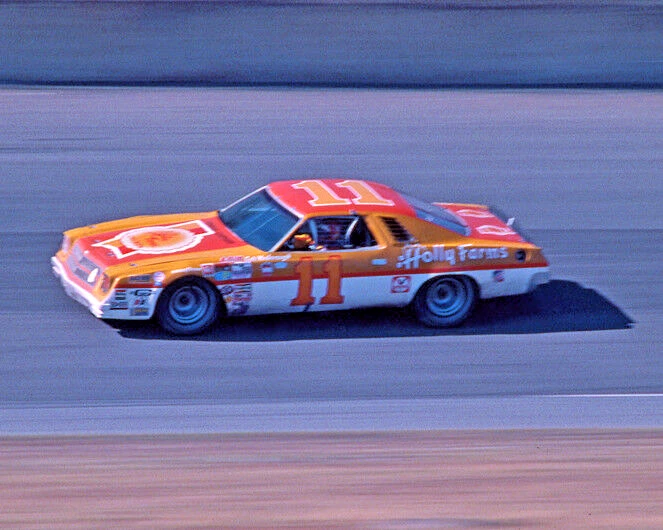 Chevy Holly Farms 1977 Cale Yarborough brillante foto 8x10 impresión Daytona 500  Foto 1 de 1