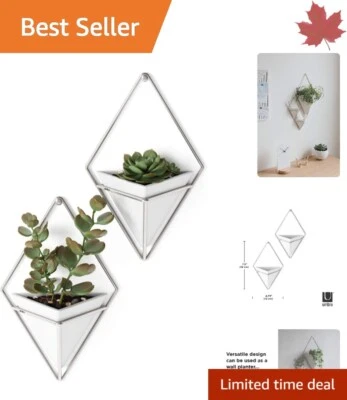 Привлекательный керамический вися горшок ваза - современный дизайн, набор из 2, белый/никель - Изображение 1 из 4