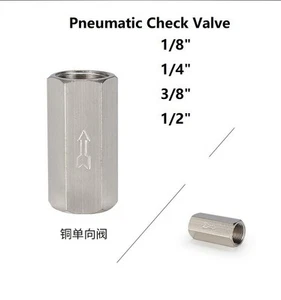 Newest Check Valve Pneumatic Accessories Brass High Strength Replacement - Picture 1 of 31