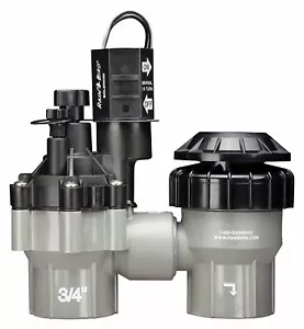 Rain Bird DASASVF075 Professional Grade Anti-Siphon Valve with Flow Control,... - Picture 1 of 8