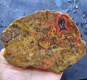 34.42 oz (976 gr) Plume Agate Rough, Moss Agate Rough, Lapidary Rough Lbs, アゲート - Picture 1 of 22