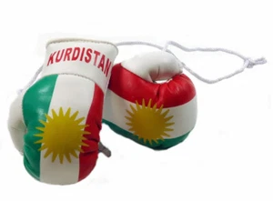 Mini Boxhandschuhe KURDISTAN 1 Paar (2 Stk) Miniboxhandschuhe Auto,Fenster,Deko - Afbeelding 1 van 1