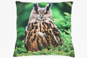 Coussin Motif Chouette Déco Coussin Moelleux 35x35 CM 1043055 - Picture 1 of 1