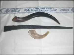 3er Set SHOFAR Oryx Gemsbok Kudu jemenitisches Ram Horn koscher aus Israel + GESCHENK - Bild 1 von 7
