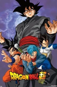 DragonBall Super Villian Poster 18x24 Brand New Condition - Picture 1 of 1