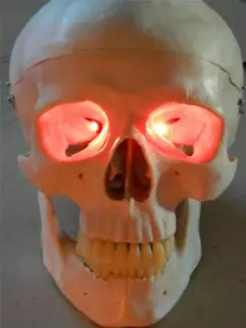 HALLOWEEN PROP ROTE LED AUGEN FÜR MASKE ODER SCHÄDEL 24 Zoll - Bild 1 von 1