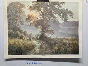 Dawn Mists by David Dipnall - Picture 1 of 1