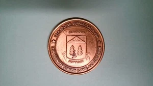 CHALLENGE COIN OLDER 10TH SOLDIER SUPPORT BATTALION MOUNTAIN DIVISION BOSNIA - Picture 1 of 2