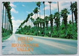 Rio Grande Valley Texas, carretera forrada de palmeras, postal vintage - Imagen 1 de 2