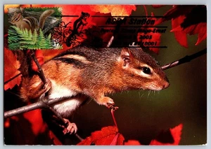#3899j Northeast Deciduous Forest Eastern Chipmunk FDC Maxi Card w/Pictorial Can - Picture 1 of 2