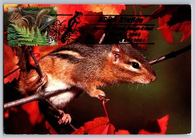 #3899j Northeast Deciduous Forest Eastern Chipmunk FDC Maxi Card w/Pictorial Can - Image 1 of 2
