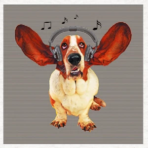 Dog - Basset Hound Music- Fabric Craft Panels in 100% Cotton or Polyester - Picture 1 of 3