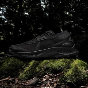 Nike Pegasus Trail 3 GORE-TEX Senderismo Zapatos para Correr Para Hombre Talla NUEVO DC8793-001 - Imagen 1 de 7