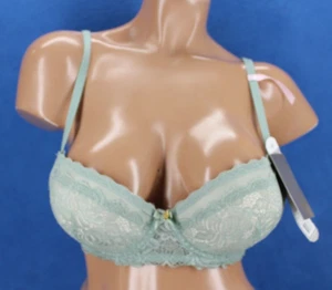 Daisy Fuentes Underwire Padded Enhanced Push Up Bra NWT Size 38C #H3469 - Picture 1 of 6