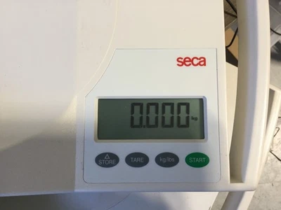 ESCALA INFANTIL SECA 334 Foto 1 de 4