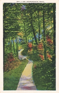 Postkarte 1938 Adirondack Trail NY X326 - Bild 1 von 2