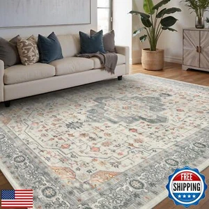 Rugxara 6x9 Washable Area Rug for Living Room, Vintage Neutral Large Boho Rug - Picture 1 of 5