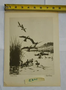Duck Decoy 1947 Missouri Duck Hunters Assoc Program Richard Bishop Vintage - Picture 1 of 7