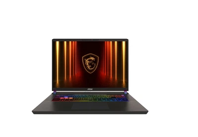 MSI Vector 17 HX AI 17" QHD Gaming Laptop Intel Ultra 9 32GB 2TB Storage 5070Ti - Image 1 of 4