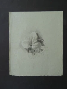 FRENCH SCHOOL 19thC - STUDY FOR DECORATION - FINE CHARCOAL DRAWING - Picture 1 of 13