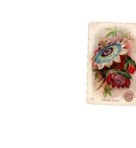 1888 Arm & Hammer New Series Beautiful Flower Card  Passion Flower No 27 - Picture 1 of 2
