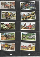 GRANOSE FOODS - ANIMALS IN THE SERVICE OF MAN - 1965 - NO.11 - RARE CARD