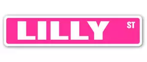 LILLY Street Sign Childrens Name Room Metal Sign Decal - Picture 1 of 16