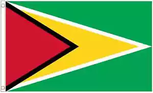 Guyana Polyester Flag - Choice of Sizes - Picture 1 of 3