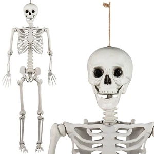 5.4 FT Halloween Human Skeleton w/ Movable Joints Full Body Bones Hanging Rope - Foto 1 di 9
