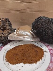 Wild Chaga Powder Manual Milling Mushroom Chunks tea Harvested  in Latvia