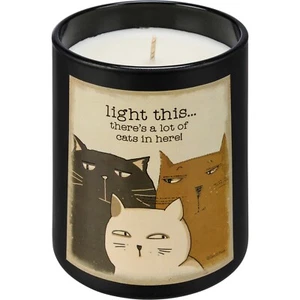 Light This There's a Lot of Cats in Here Jar Candle Cat Lover NEW - Picture 1 of 3