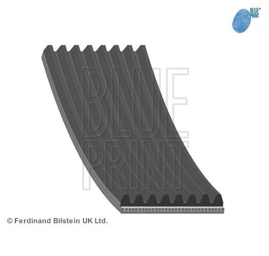 Correa acanalada BLUE PRINT AD08R1956 para Land Rover Foto 1 de 1