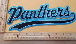 HUGE CAROLINA PANTHERS IRON-ON PATCH - 4 " x 10" - Picture 1 of 1