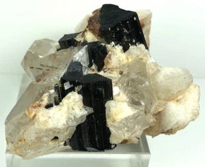 Nice Black Tourmaline Crystal with Quartz Specimen Unique Shape Piece 261 Grams - Picture 1 of 8
