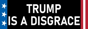 Trump is a Disgrace Sticker Large 3x9 Anti Donald Trump Sticker - Picture 1 of 4
