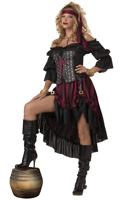 Brand New Pirate Wench Adult Costume - Image 1 of 2