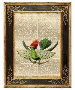 Dot Eared Coquette Hummingbird Art Print on Vintage Book Page Home Decor Gifts - Picture 1 of 3