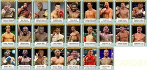Tarjetas coleccionables de boxeo de linaje de campeones de peso pesado de la OMB Klitschko Usyk Bowe Hide - Imagen 1 de 1