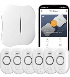 Rilevatore di Perdite Acqua WiFi per Casa con Notifica App 1 Gateway + 6 WD61 Se... - Foto 1 di 9