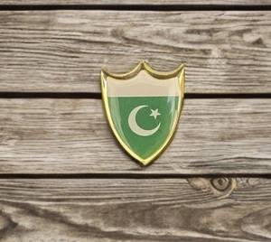 Pakistan Flag Pin Pocket Mini Badge for Kids & Adults, Buy 2 Get 1 FREE - Picture 1 of 9