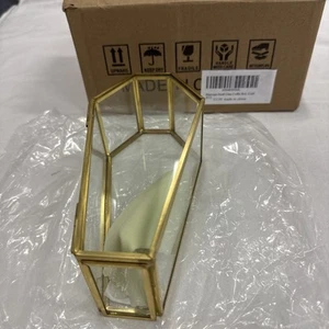 libproqia Pequeño Ataúd de Vidrio Caja de Exhibición Oro Gótico Halloween Joyero - Imagen 1 de 4