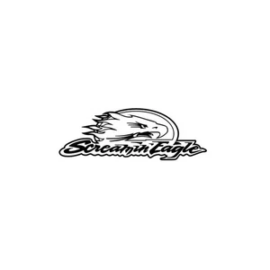  STENCIL SCREAM EAGLE COD. 0941 MISURA 30X10 - Foto 1 di 1