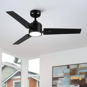 48" Black Lowe Profile Ceiling Fan with Light - Picture 1 of 6