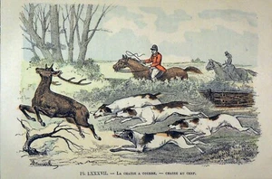 UNE CHASSE à COURRE: MEUTE poursuivant un CERF - Planche couleur du 19e siècle - Picture 1 of 3