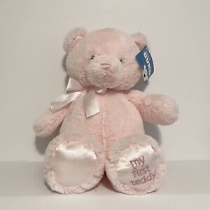 Gund My First Teddy Bear Pink Soft Plush Toy Stuffed Animal Baby Girl 15” New