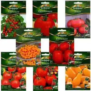 Premium Tomaten Samen, verschiedene Sorten wählbar - Bild 1 von 6